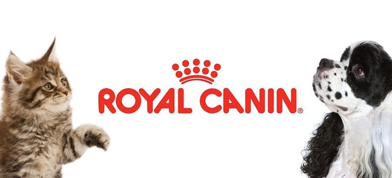royal canin royal canin