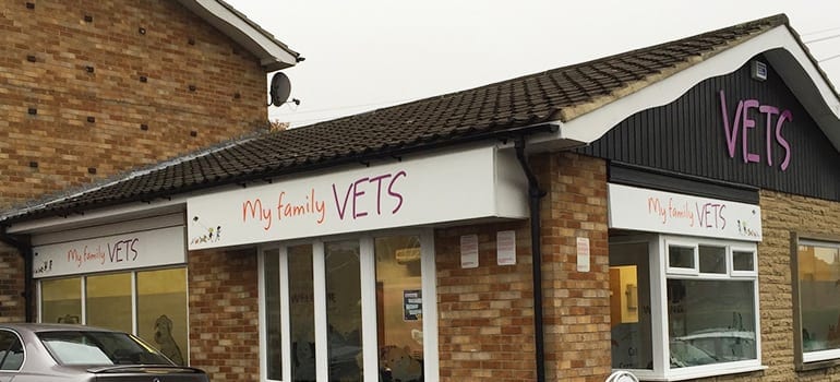 my family vets my family vets veterinary practice
