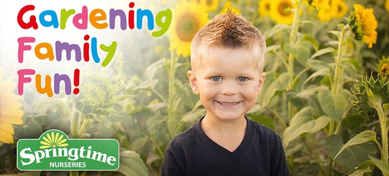 springtime-full springtime nurseries provides a huge choice of plants and gardening sundries